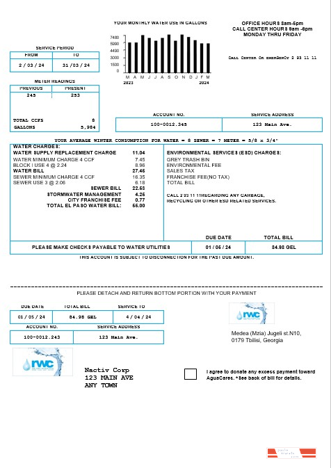 Georgia RWC water business bill template in Word and PDF formats1
